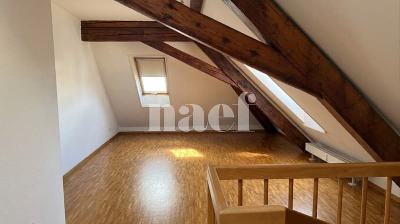 Charmantes 3-Zimmer-Wohnung in der Nähe des Genfer Bahnhofs (4)