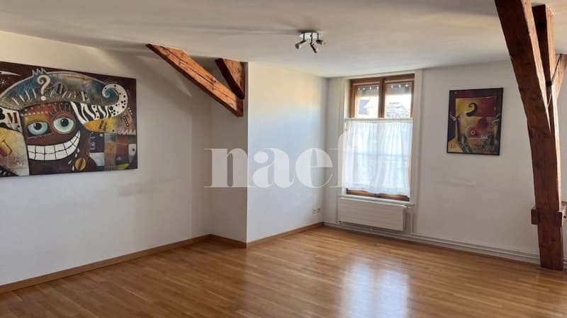 Charmantes 3-Zimmer-Wohnung in der Nähe des Genfer Bahnhofs (2)