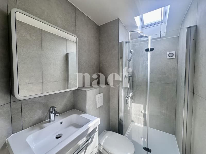 Incantevole villa a schiera con veranda e giardino a Genthod (10)