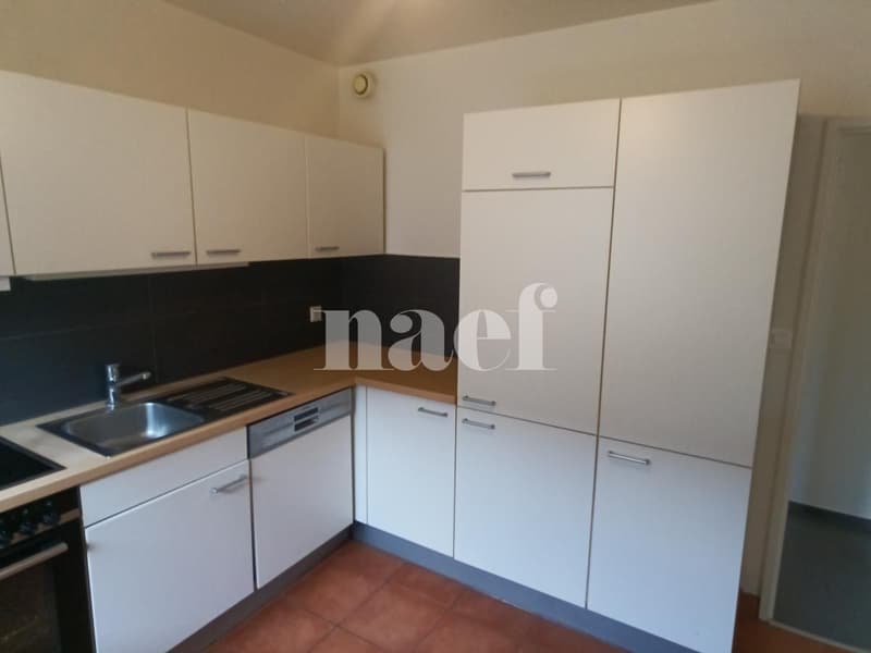 Wohnung mit 5 Zimmern in Grand-Saconnex mit Terrasse im Untergeschoss (2)