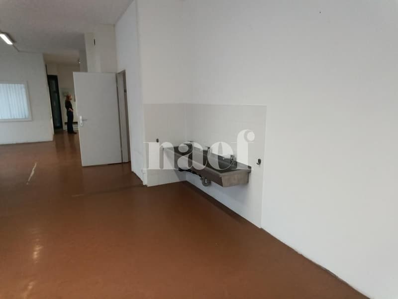 Geschäft zwischen Grange-Canal und les Eaux-Vives (5)