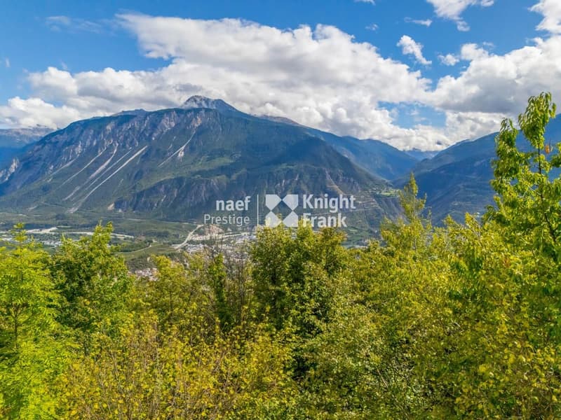 Bello appartamento di 3.5 locali, recentemente ristrutturato (8)