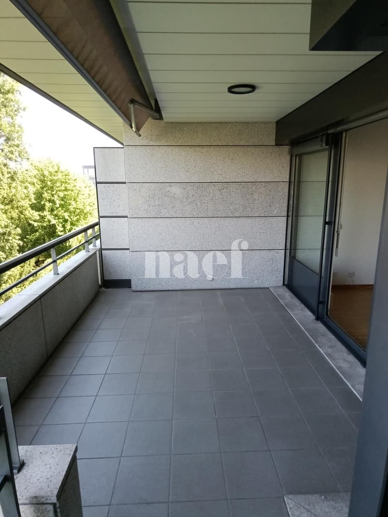 Bello appartamento nel quartiere di Malagnou (10)