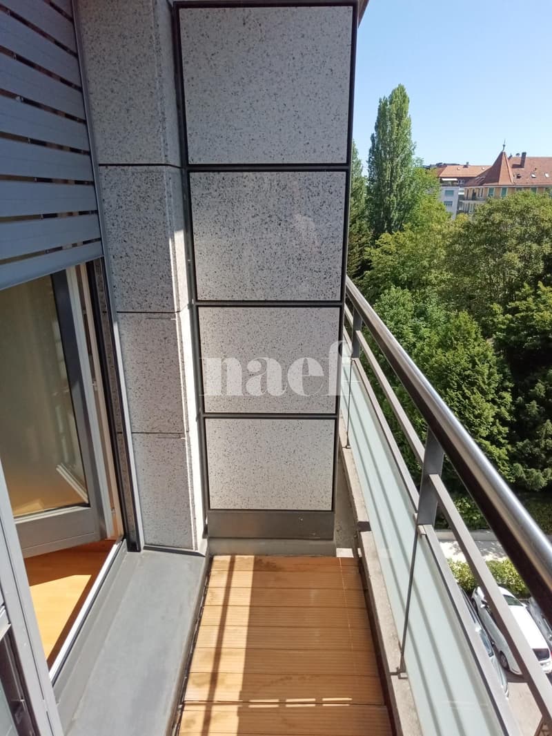 Bello appartamento nel quartiere di Malagnou (11)