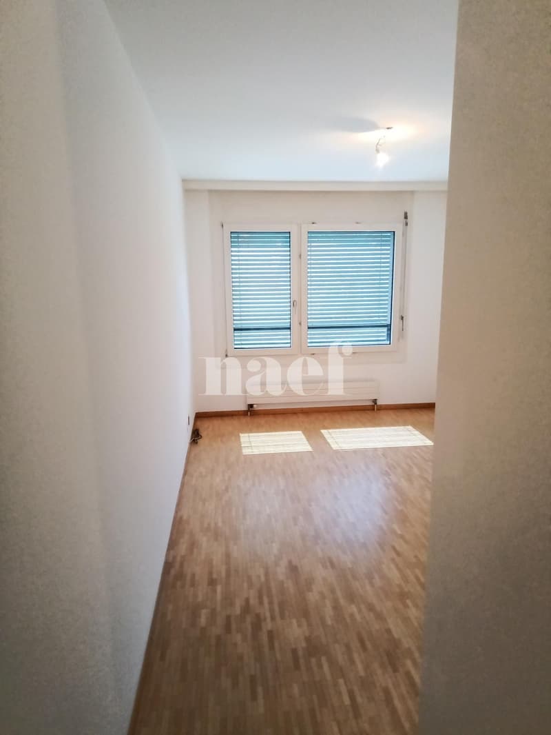 Bello appartamento nel quartiere di Malagnou (6)
