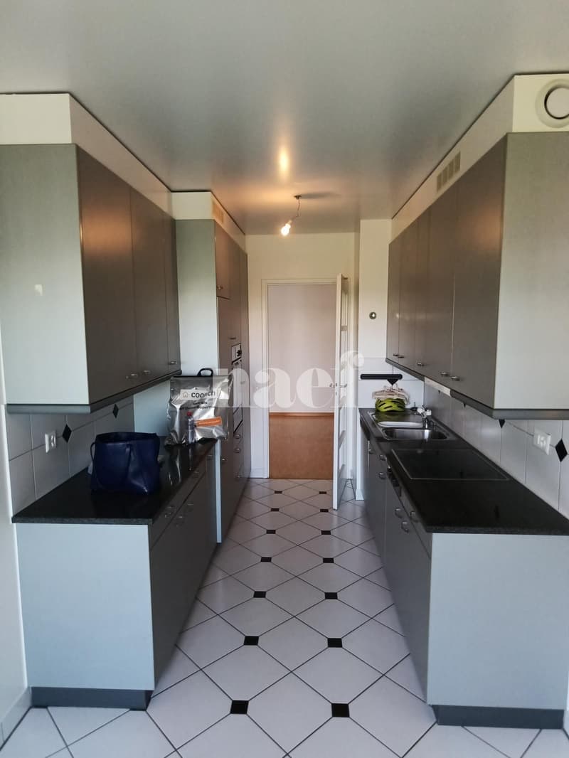 Bello appartamento nel quartiere di Malagnou (3)