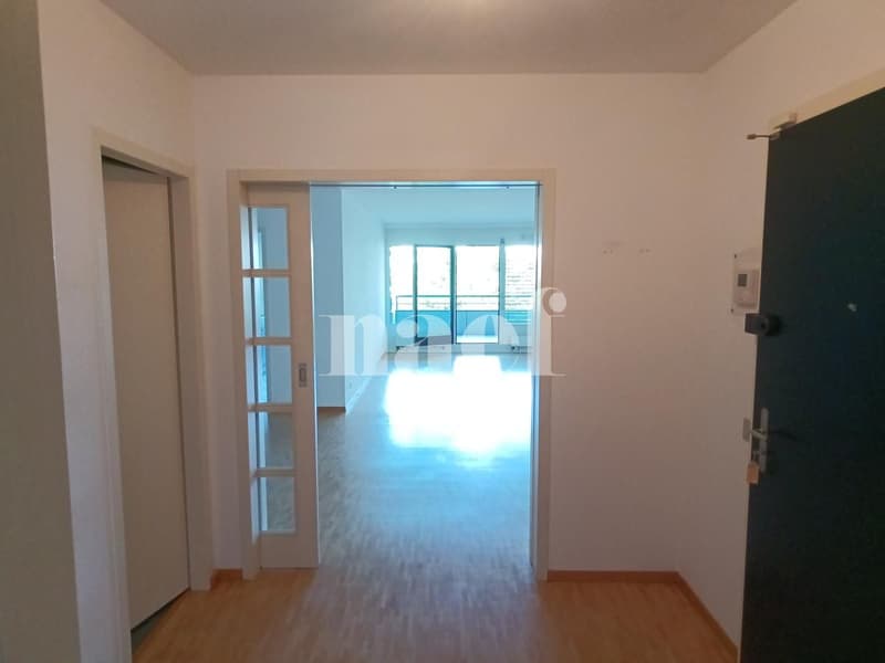 Bello appartamento nel quartiere di Malagnou (2)