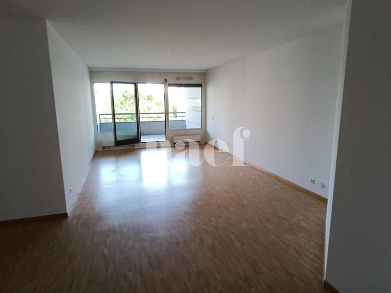 Bello appartamento nel quartiere di Malagnou (4)