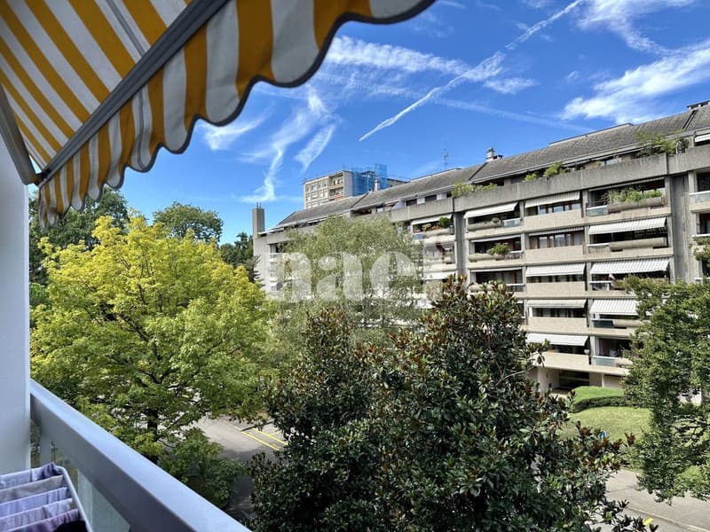 Appartement 5 pièces à Genève - Proche des organisations internationales (11)