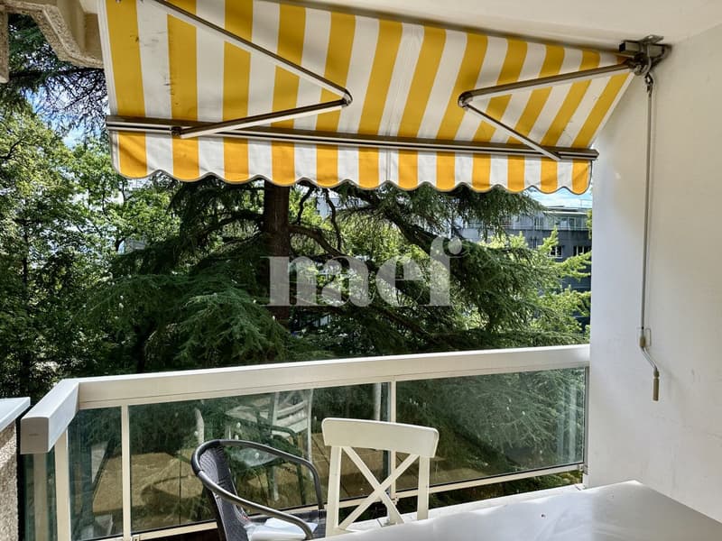 Appartement 5 pièces à Genève - Proche des organisations internationales (4)