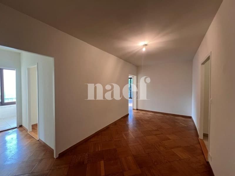 Magnifique appartement 6 pièces avec balcons (2)