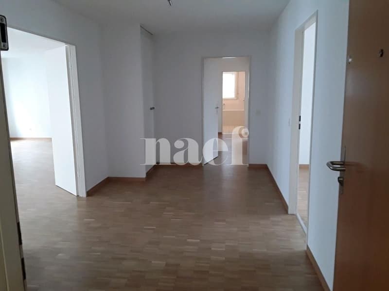 Appartement de 7 pièces à Champel (2)
