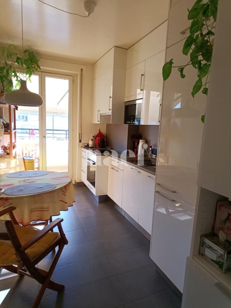 Affascinante appartamento di 4 locali (3)
