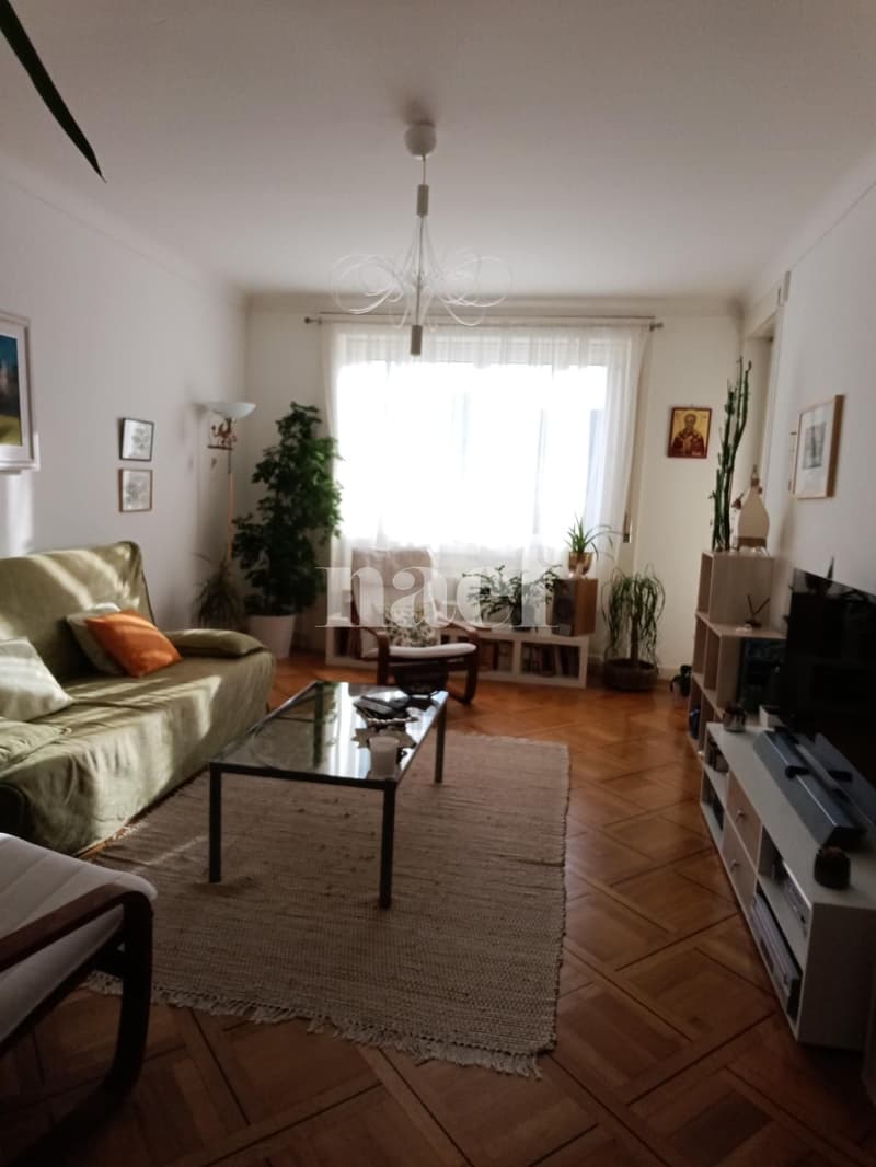 Affascinante appartamento di 4 locali (2)