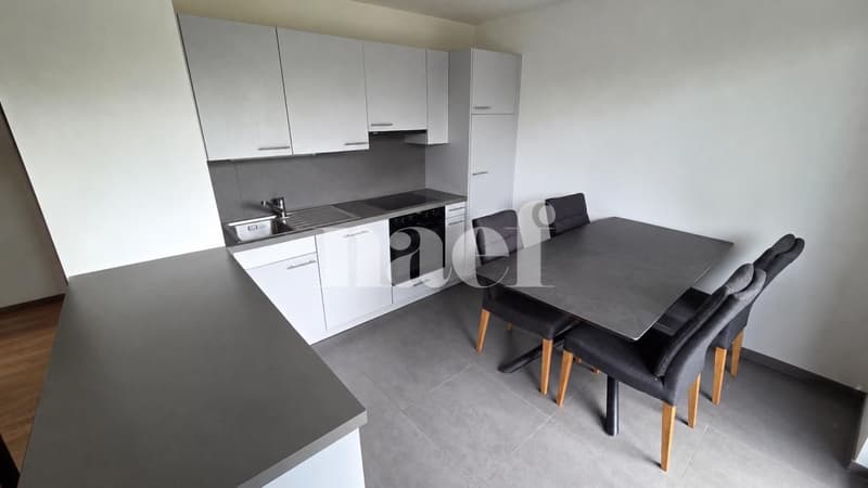 Appartamento di quattro locali con grande loggia! (3)