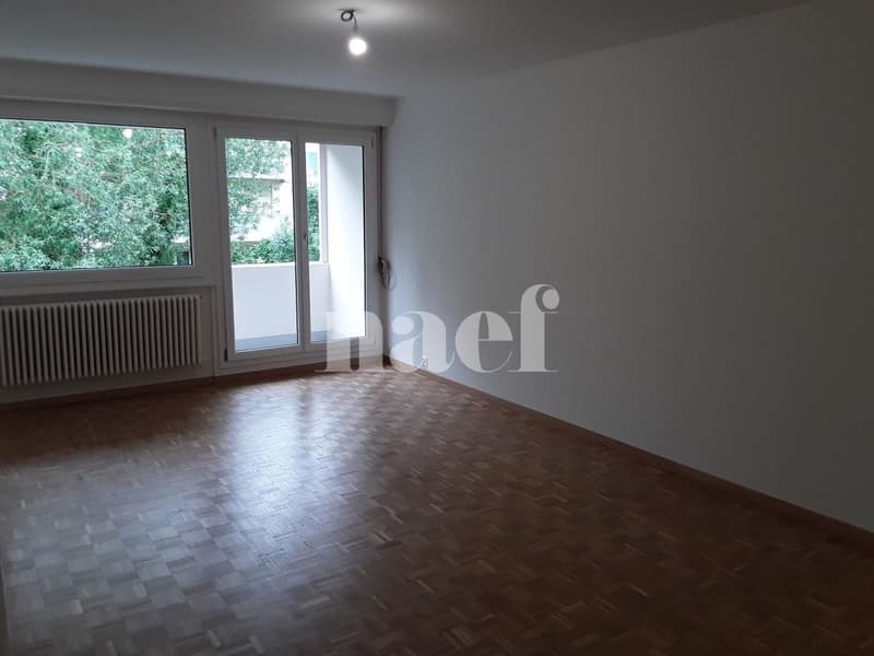 Wohnung mit 6 Zimmern in ruhiger Lage (3)