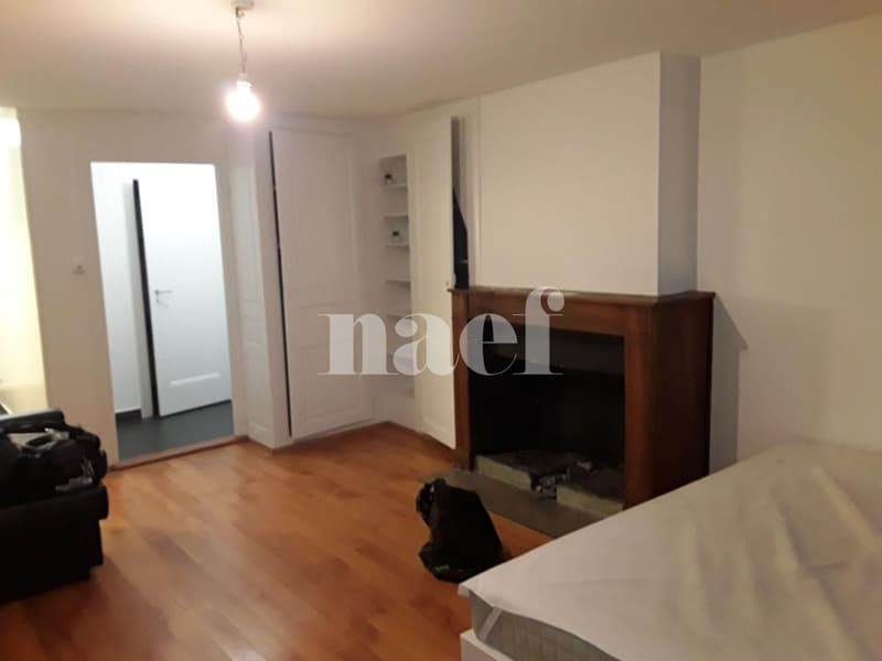 Appartement de 1.5 pièce situé au coeur de la Vieille Ville de Genève (3)