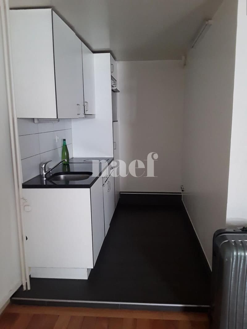 Appartement de 1.5 pièce situé au coeur de la Vieille Ville de Genève (2)