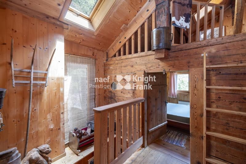 Charming mayen for rent in nature (9)