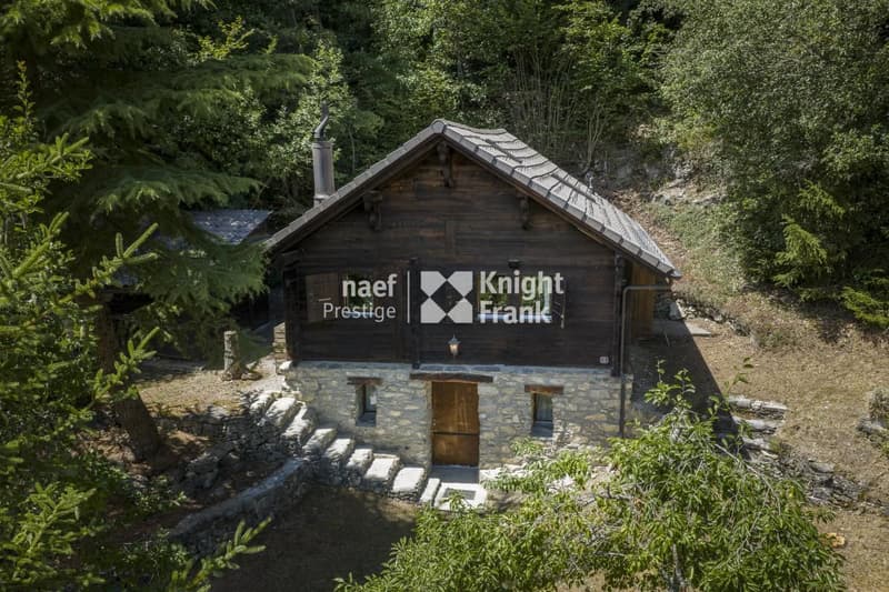 Charming mayen for rent in nature (1)