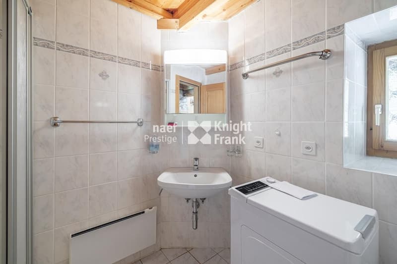 Charming mayen for rent in nature (8)