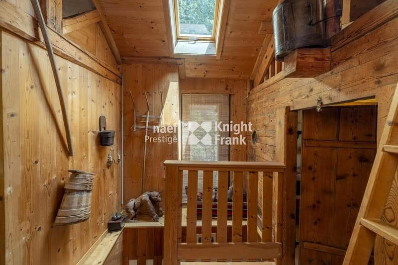 Charming mayen for rent in nature (5)