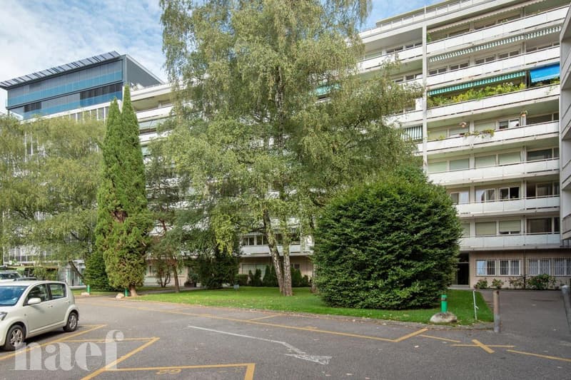 Zweizimmerwohnung im Erdgeschoss (1)