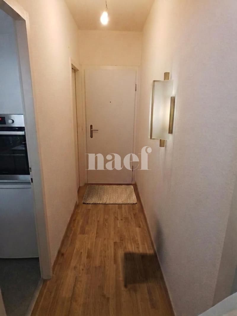 Studio in 5 Minuten Entfernung zum Bahnhof Cornavin (6)