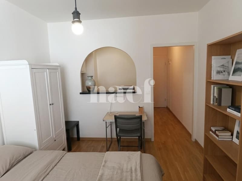 Studio in 5 Minuten Entfernung zum Bahnhof Cornavin (3)