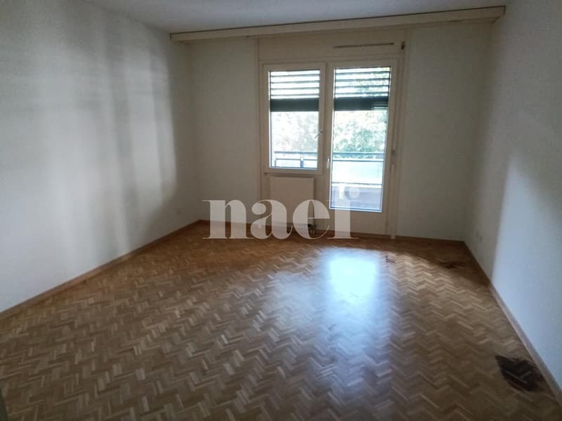 Appartamento di 5 locali con ampio balcone a Carouge (5)