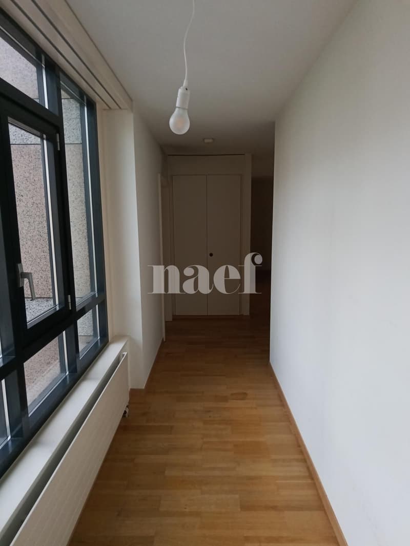 Appartamento di 5 locali con ampio balcone a Carouge (2)