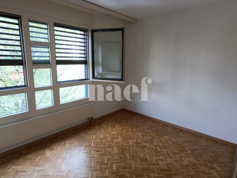 Appartamento di 5 locali con ampio balcone a Carouge (6)