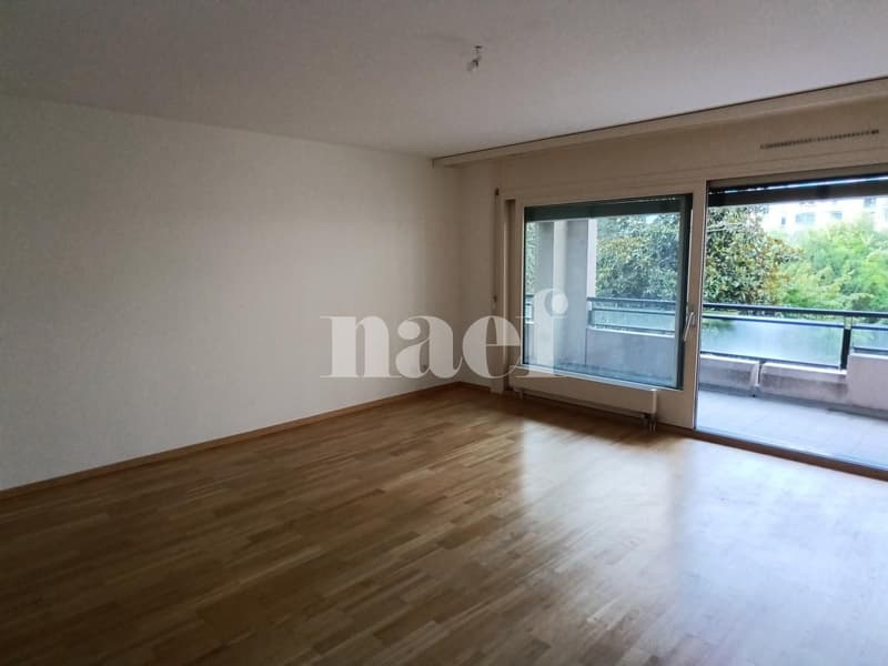 Appartamento di 5 locali con ampio balcone a Carouge (4)
