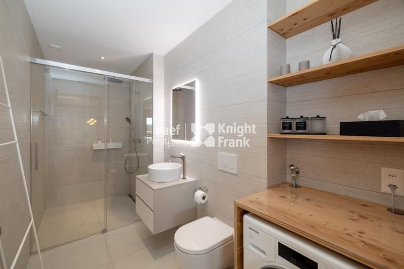 Appartement de 2.5 pièces neuf Projet Guépard (3)
