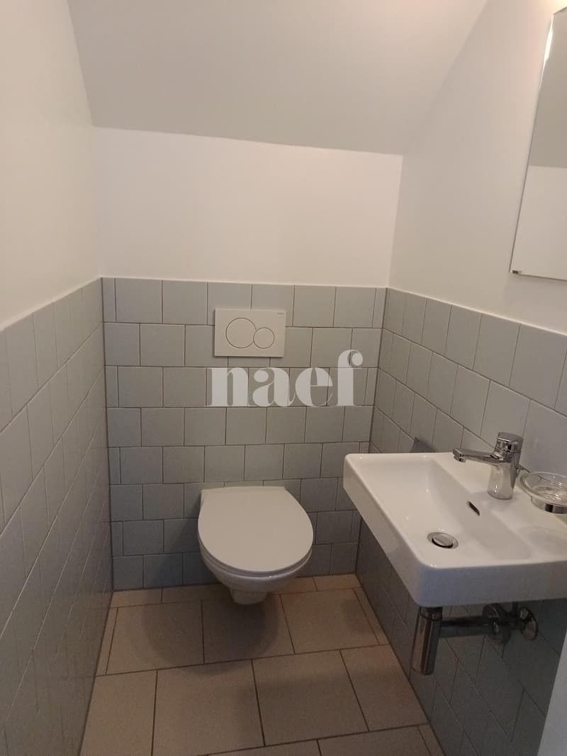 Duplex de 3 pièces près de la gare de Genève (7)