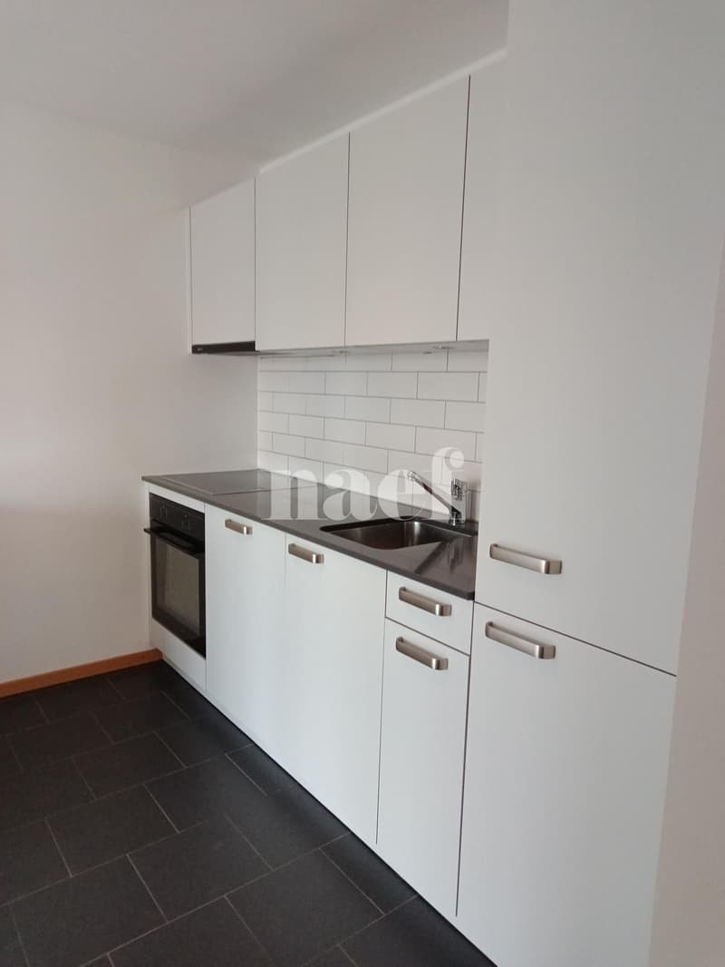 Duplex de 3 pièces près de la gare de Genève (4)