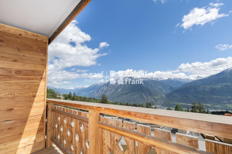 Location d'un appartement de 3.5 pièces - Guépard (2)