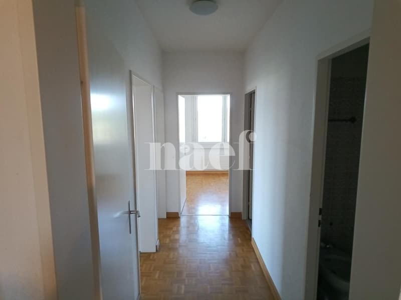 Grand appartement avec deux balcons ! (11)