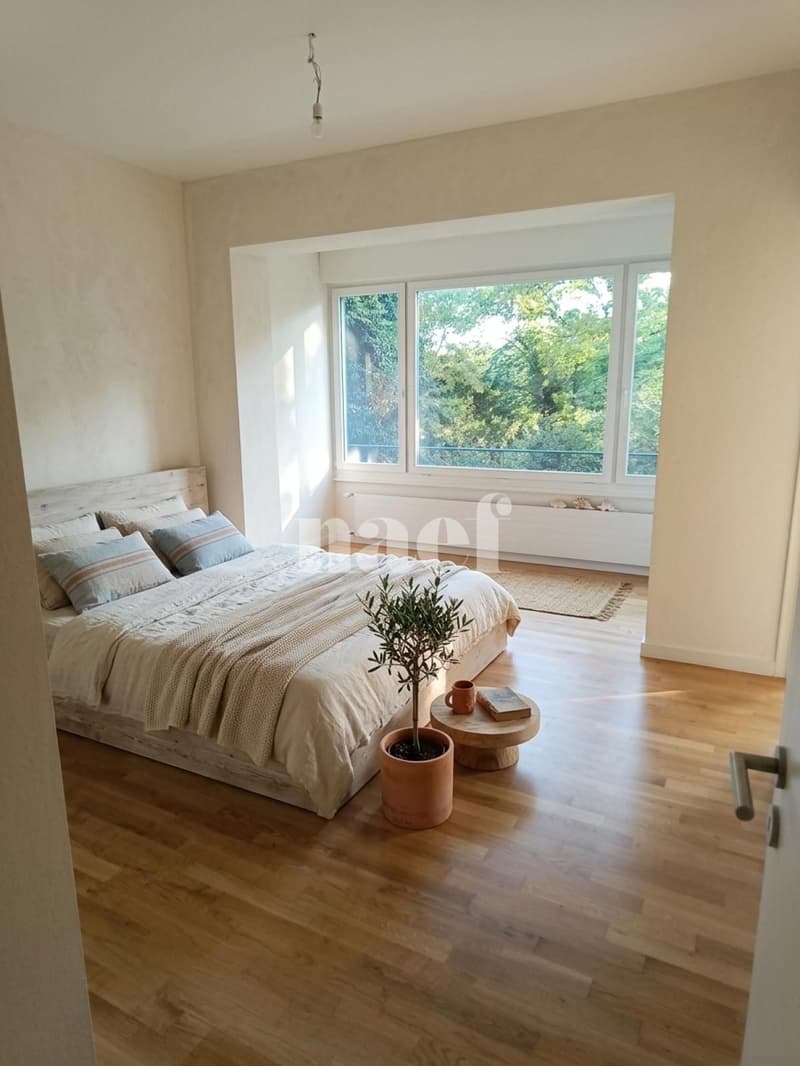 Appartement de 3 pièces au 1er étage, près du lac (4)