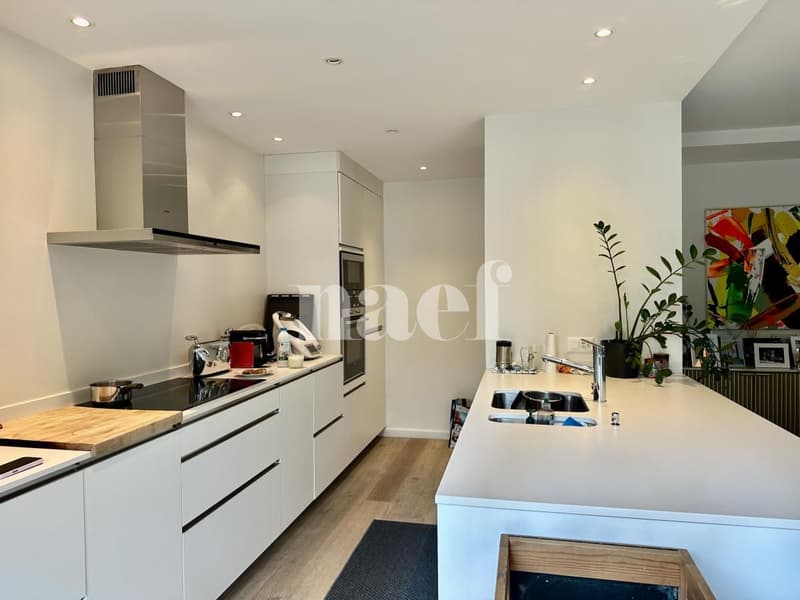 Beau duplex en souplex de 6 pièces avec terrasses et jardin privatif (5)