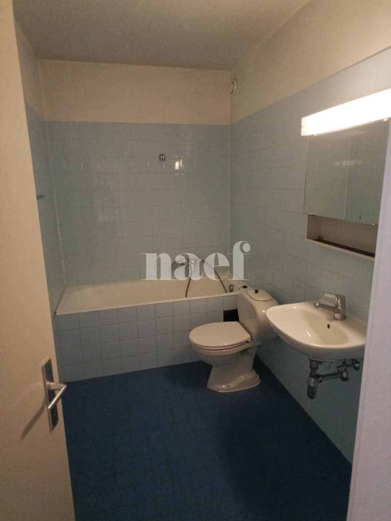 Grand appartement avec balcon ! (7)