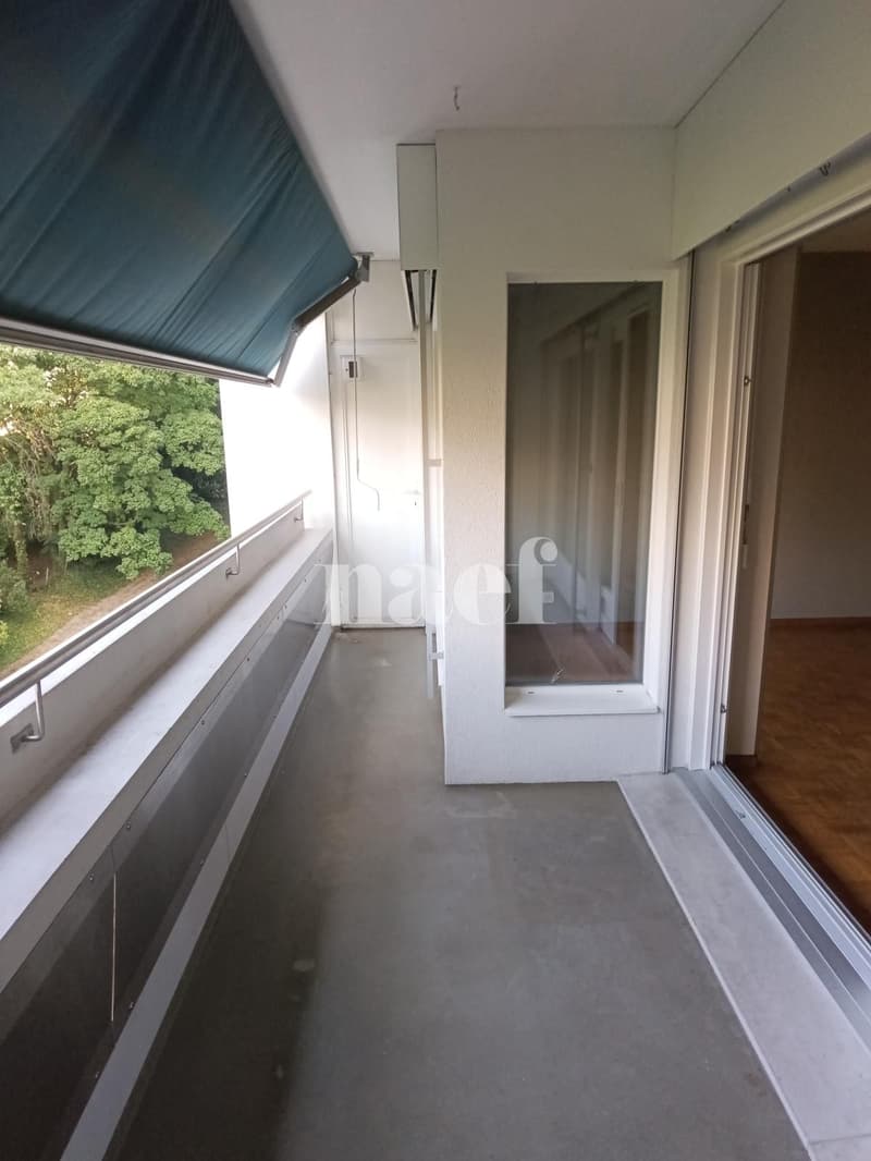 Grand appartement avec balcon ! (9)