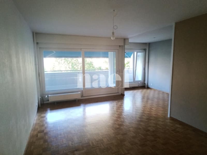 Grand appartement avec balcon ! (4)