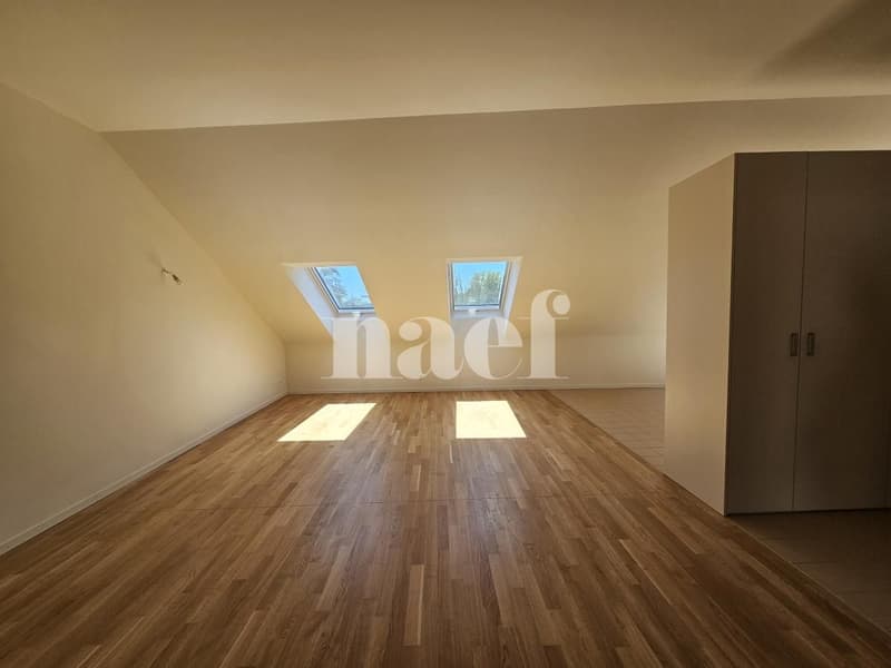 Bel appartement lumineux de 3 pièces à Chêne-Bougeries (4)