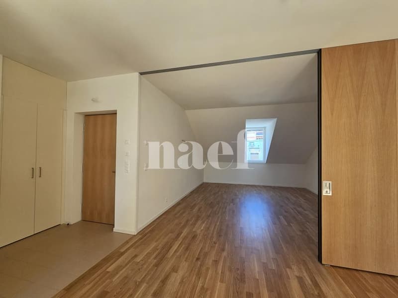 Bel appartement lumineux de 3 pièces à Chêne-Bougeries (2)