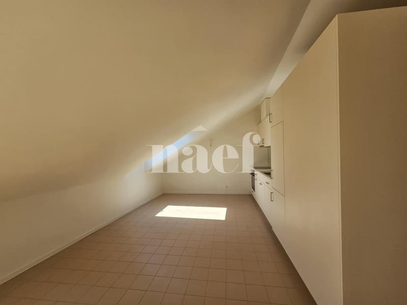 Bel appartement lumineux de 3 pièces à Chêne-Bougeries (5)