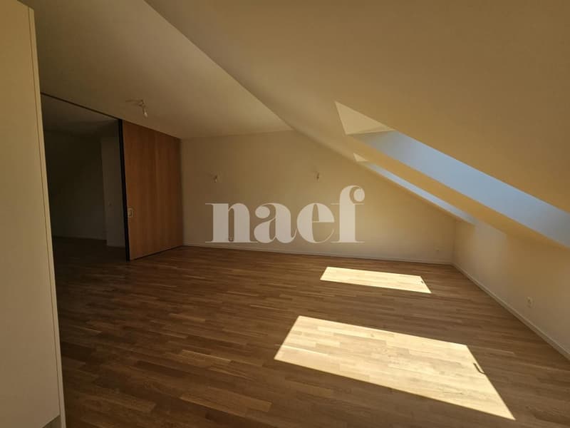 Bel appartement lumineux de 3 pièces à Chêne-Bougeries (7)