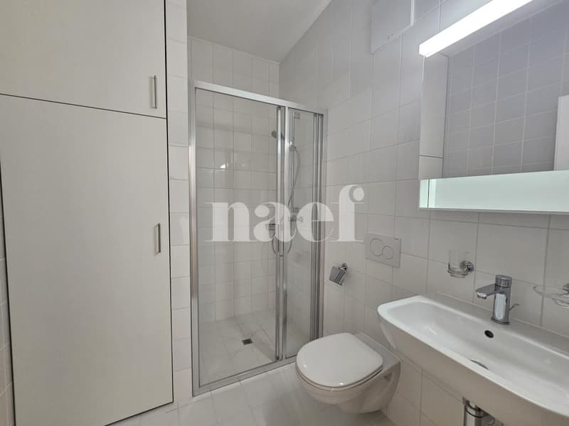Bel appartement lumineux de 3 pièces à Chêne-Bougeries (8)