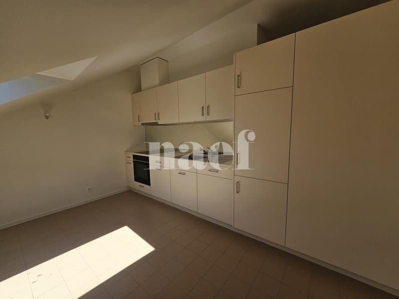 Bel appartement lumineux de 3 pièces à Chêne-Bougeries (6)