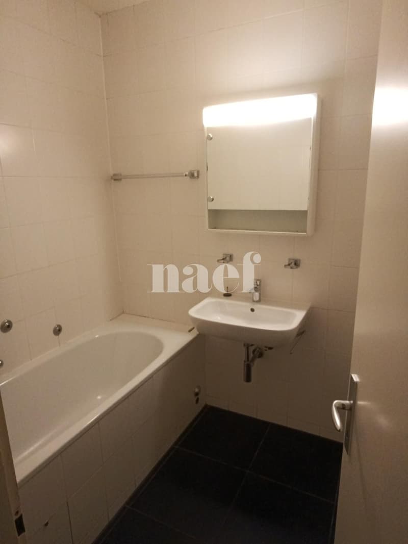 Grand appartement avec balcons ! (8)